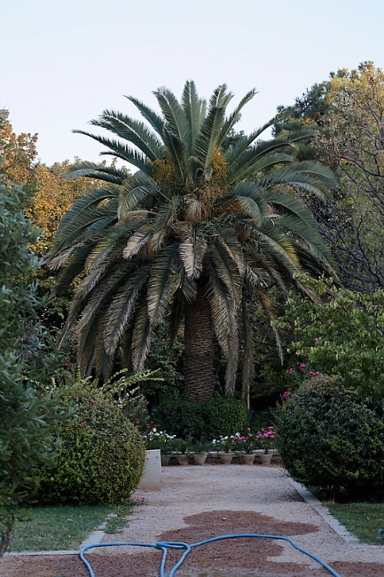 Chiraz-Jardin d'Eram-018